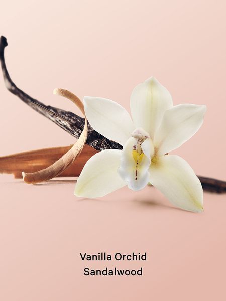Спрей VICTORIA'S SECRET Vanilla Orchid Sandalwood Hair & Body Mist 422382QJ2OS фото