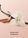 Спрей VICTORIA'S SECRET Vanilla Orchid Sandalwood Hair & Body Mist 422382QJ2OS фото 2