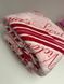 Плед VICTORIA'S SECRET Cozy-Fleece Blanket 903828QR2 фото 2