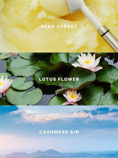 Парфумований спрей VICTORIA'S SECRET Lotus Cloud Fragrance Mist 426626QA8-OS фото