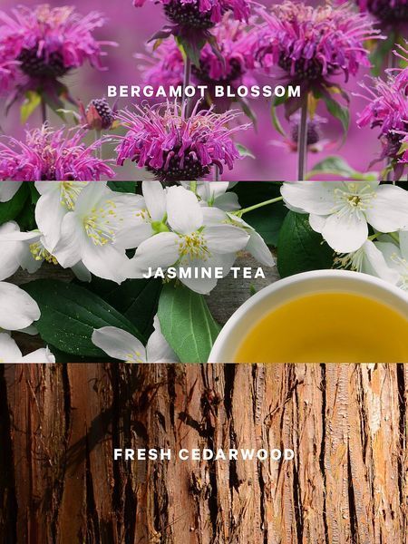 Парфюмированный спрей VICTORIA'S SECRET Jasmine Tea Sunrise Fragrance Mist  426626QA8-OS фото