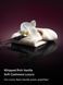 Парфумований лосьйон VICTORIA'S SECRET Bare Vanilla Intense Fragrance Lotion  428827RZGOS фото 2