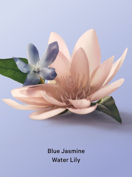 Лосьон VICTORIA'S SECRET Blue Jasmine Water Lily Hydrating Body Lotion 422386QBAOS фото