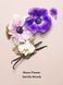 Парфюмированный лосьон VICTORIA'S SECRET Midnight Bloom Fragrance Lotion  422050QF5OS фото 2